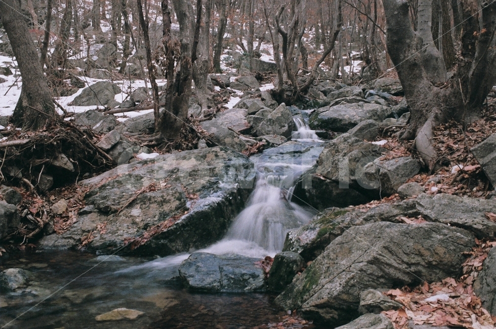 필름사진,아그파,겨울,계룡산,계곡,장노출,니콘,FM2,풍경사진,자연,풍경,nature,landscape,겨울,계절,winter,season,water,물,outdoors,옥외,stream,흐름,creek,작은 만