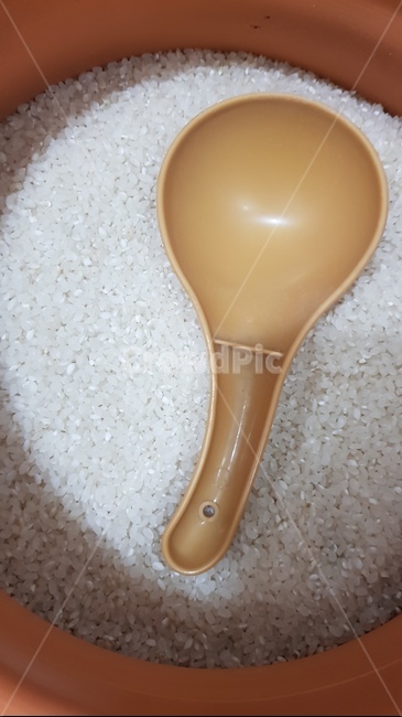 쌀,쌀통,쌀주걱,rice,쌀밥