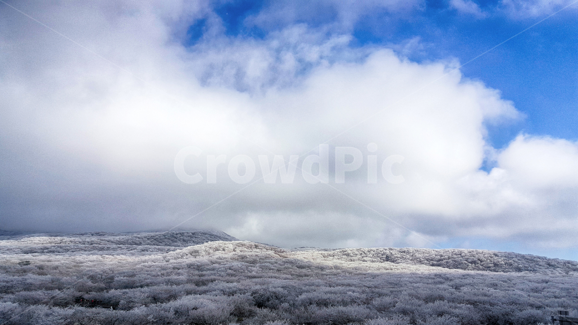 제주도,한라산,1100고지,한라산1100고지,설경,눈꽃,겨울,자연,옥외,눈,nature,outdoors,snow,풍경,겨울풍경,겨울,계절,winter,season,자연,풍경,nature,landscape