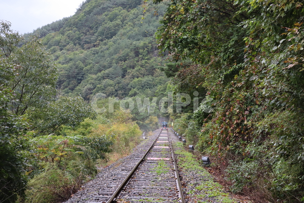 강원도,정선,레일바이크,레저,정선레일바이크,기찻길,철도,레일,자연,풍경,nature,landscape,railway,rail,transportation,교통,train track,gravel,자갈,dirt road,흙길,road,도로