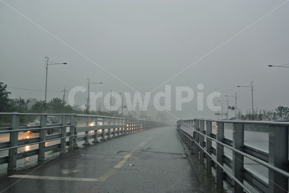 자전거길,대전,세종,소나기,비,비,비오는날,rain,rainy,교통,교통수단,traffic,transportation,nature,자연,road,도로