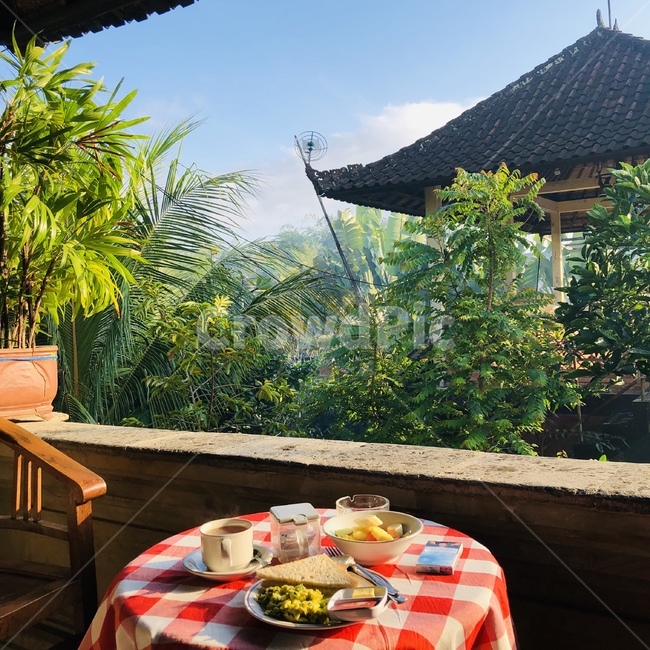 발리,인도네시아,조식,샌드위치,정글,우붓,아침식사,조식,브런치,breakfast,brunch