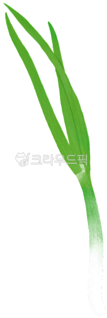 대파, 파, 대파한뿌리, 대파그림, 대파일러스트, 사진,이미지,일러스트,캘리그라피 - Oseleta작가