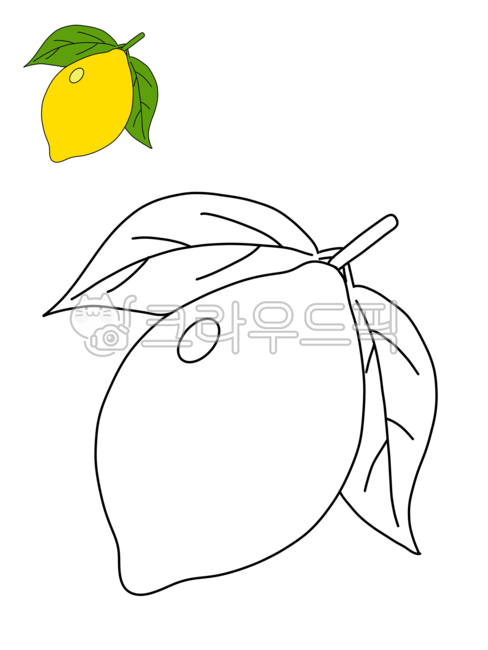 색칠공부,색칠,크레파스,과일색칠,과일색칠공부,과일,과일칠하기,초등미술,과일일러스트,그림놀이,도안,과일도안,레몬,레몬색칠,레몬색칠공부,레몬색칠도안,레몬도안,레몬일러스트,유아미술,유아색칠놀이,색칠놀이,과일색칠놀이,과일,열매,fruit,그래픽,일러스트레이션,graphic,illustration