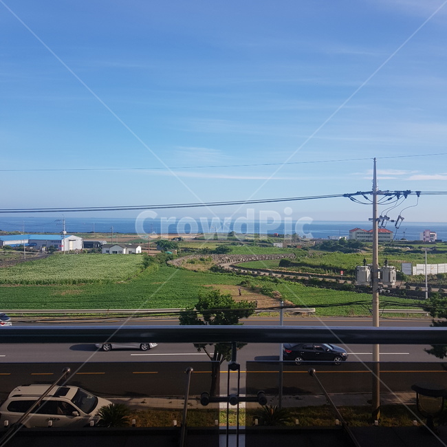 바다,제주도,논,하늘,풍경