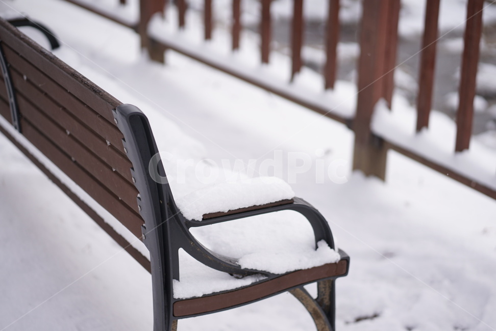 winter,겨울,눈,snow,외로움,겨울,계절,winter,season