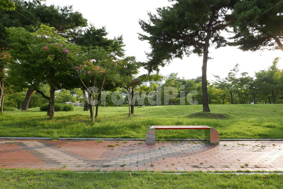 배경,풍경,자연,나무,야외,의자,공원,환경,숲,나뭇잎,nature,landscapesky,park,tree