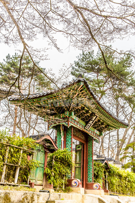 창덕궁,후원,규장각,기와,단청,문화유산,문화재,한국전통,한국문화,korean traditional,korean culture,한복,한국전통의상,hanbok,korean traditional clothes,랜드마크,landmark,tourist attraction,한국랜드마크,한국관광지,한국명소,korea landmark,korea tourist attraction