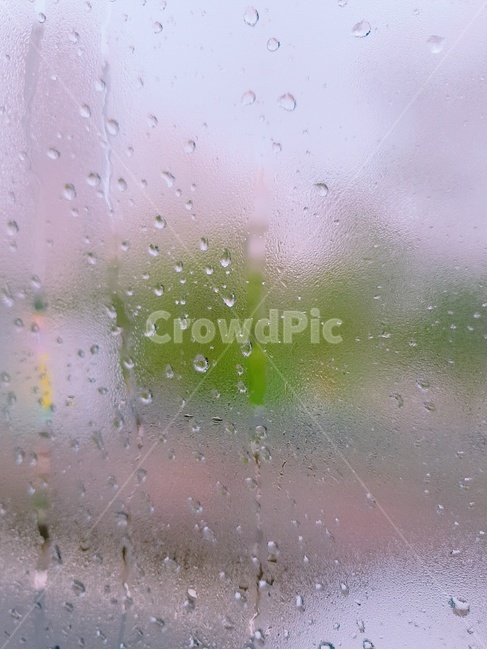 습기,비,창문,물방울,rain