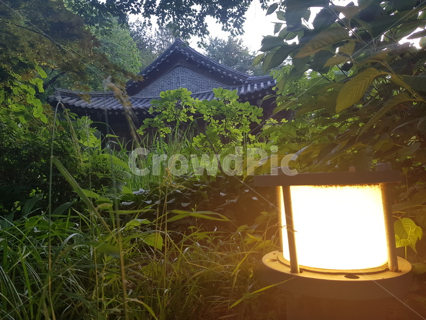 저녁,등,풍경,자연,한옥