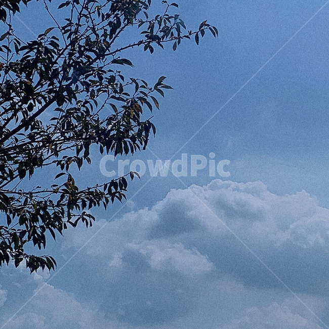 하늘,sky,구름,cloud,감성,자연,날씨