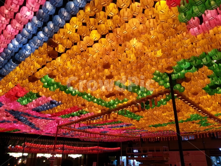 조계사,부처님오신날,연등,lantern,light,등,초파일