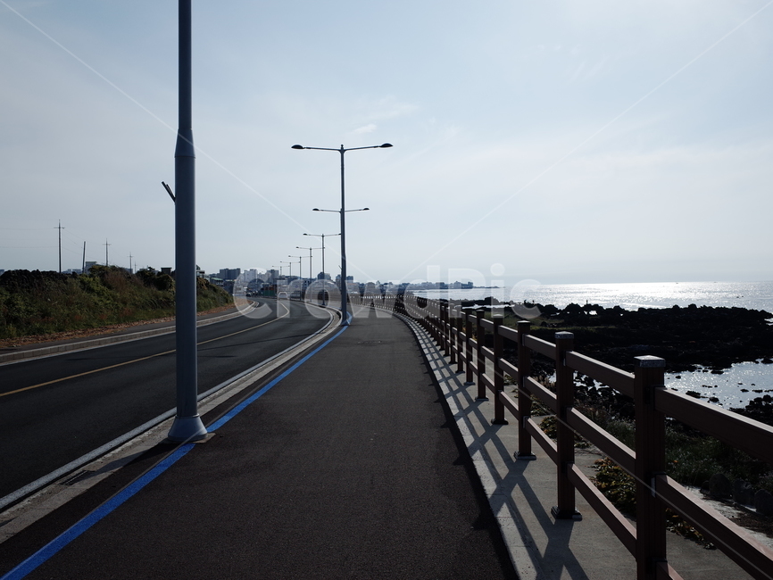 도로,길,신호등,필름,필름사진,필름감성,신호,건널목,횡단보도
