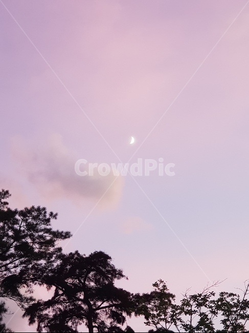 nature,자연,핑크,달,moon