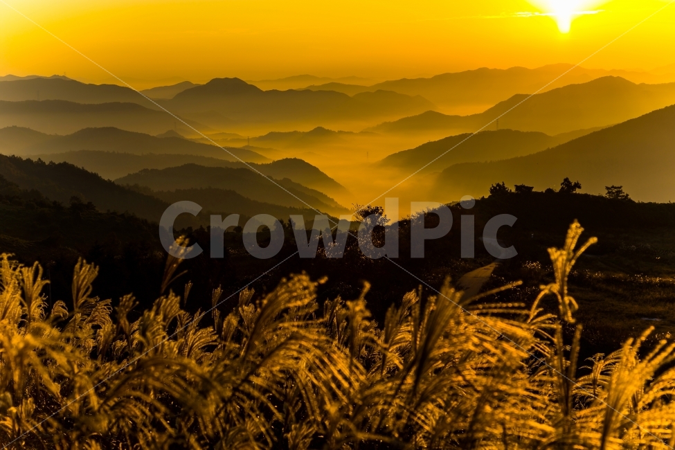 억새,가을풍경,산그리메,자연,일출,가을,계절,fall,autumn,season,자연,풍경,nature,landscape,한국자연풍경,한국자연경관,korea nature landscape,감성,sensible,feeling,light,빛,flare,플레어,outdoors,옥외,mountain range,산맥,mountain,산,sunlight,햇빛