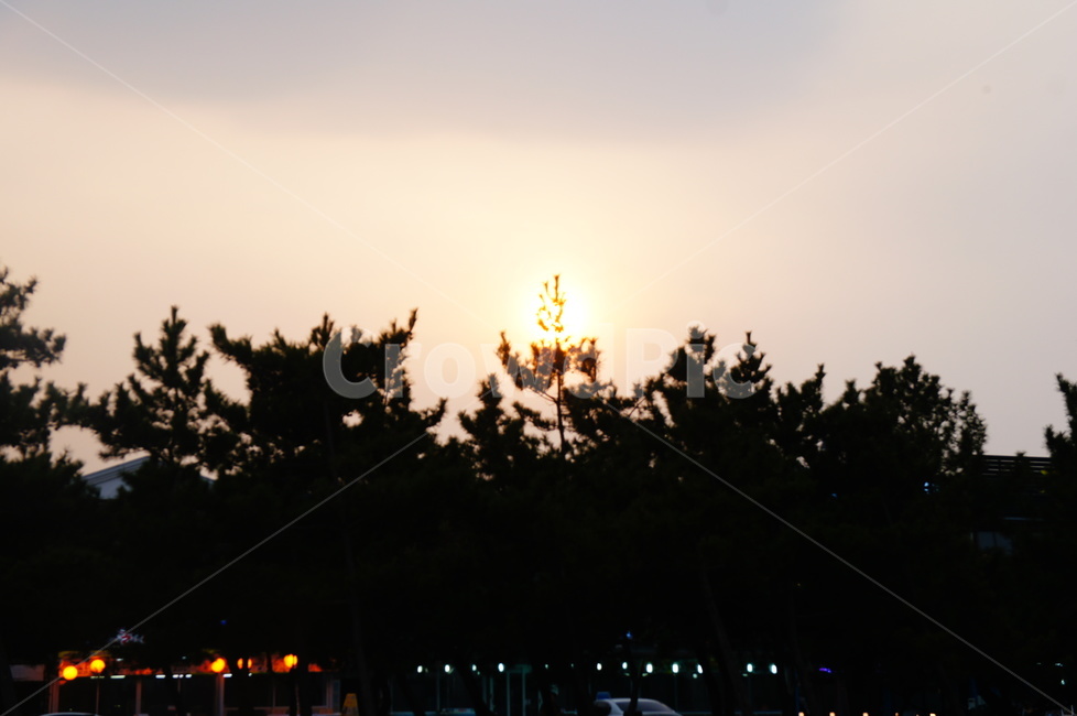 풍경,노을,태양,나무,선셋,하늘,식물,자연,plants,nature,나무,trees,wood,실루엣,그림자,silhouette,shadow