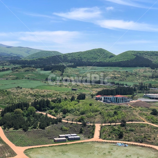 제주,제주도,언덕,나무,숲,오름,길,등산,하늘