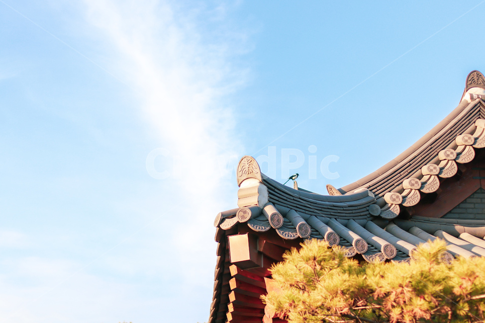 한옥,벽돌,기와,한국,전통,무늬,지붕,까치,한국전통,한국문화,korean traditional,korean culture,건축물,건물외관,exterior,building,structure,architecture,construction