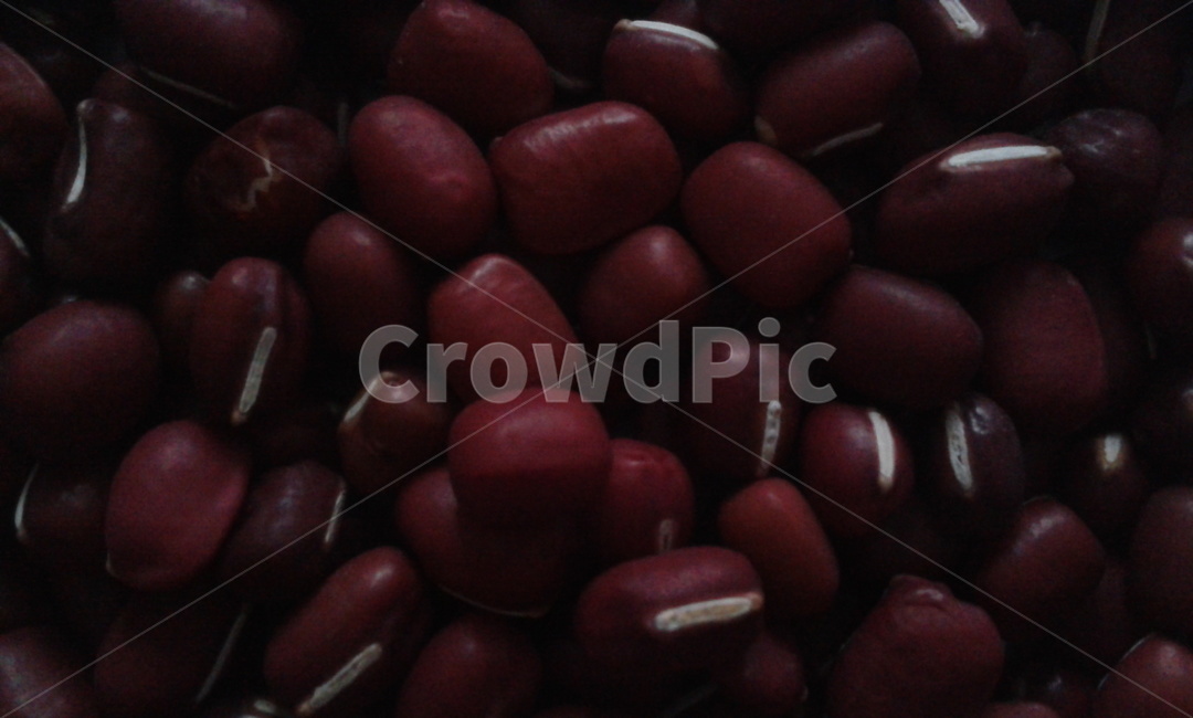 vegetable,식물,곡식,잡곡,팥,콩류,견과류,beans,pulse,nuts,dry fruits
