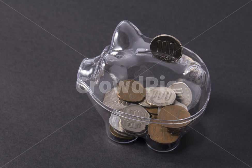 저금통,돼지,돼지저금통,저축,동전,투명,돈,용돈,잔돈,엔화,엔,금융,돈,finance,banking,money,연출,컨셉,콘셉,direction,concept