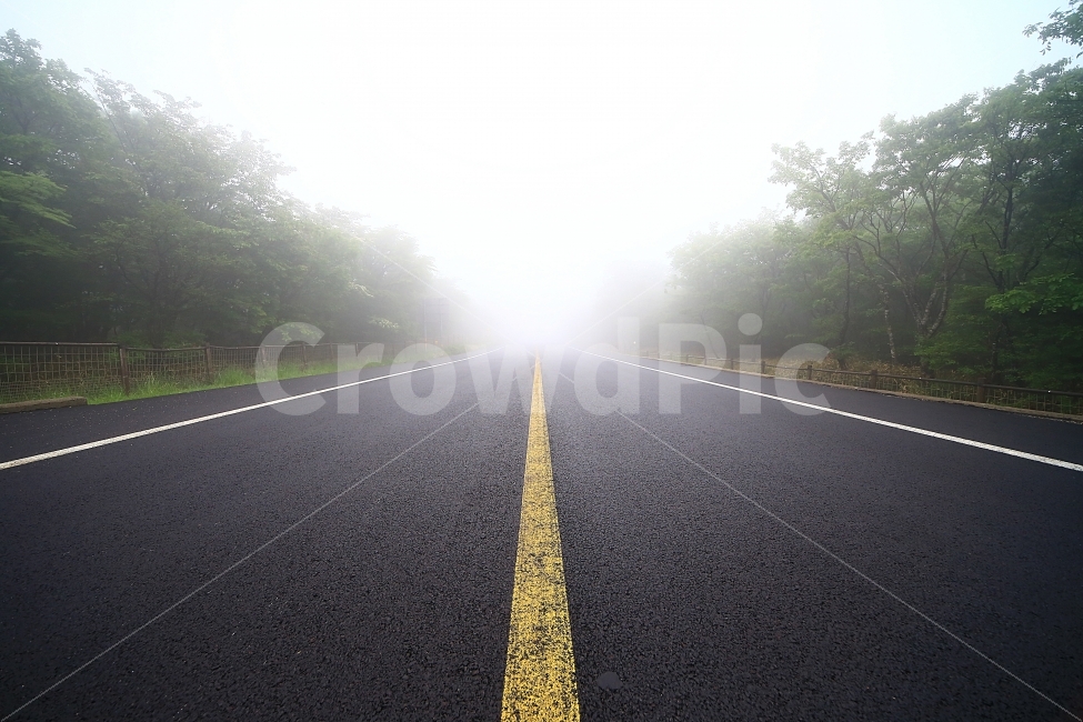 길,안개,몽환적,도로,road,교통,교통수단,traffic,transportation,asphalt,아스팔트,highway,고속도로,freeway,고속 도로