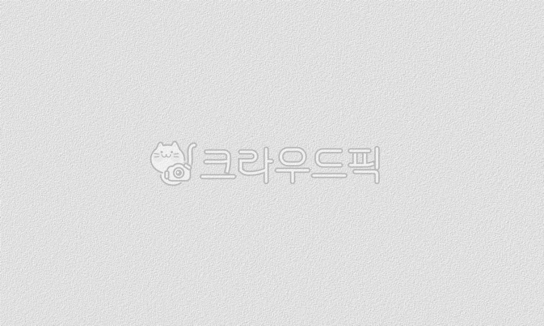 paper texture,old wall,rough side,rough,pattern,white background,Grumpy,sauce,background paper,wall surface,paper,white,cement wall,group,canvas,wallpaper,texture,tough,paper texture background,stone surface,cement,background,paper background,white paper 