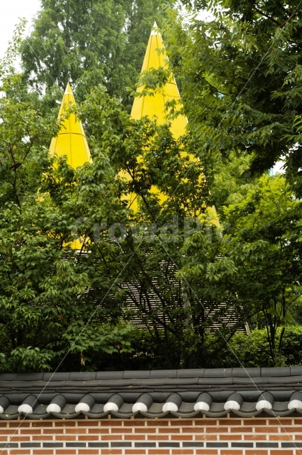풍경,담장,전통,한식,한옥,한국전통,한국문화,korean traditional,korean culture