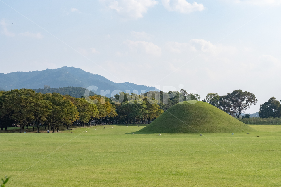 경주,잔디,nature,field,능