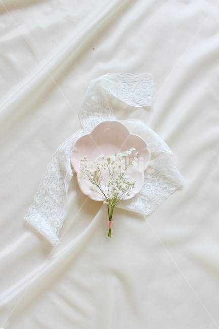 접시,꽃,안개꽃,분홍,감성사진,그릇,분홍색,하얀색,pink,white,flower,flowers,레이스,꽃,flower,감성,sensible,feeling,연출,컨셉,콘셉,direction,concept
