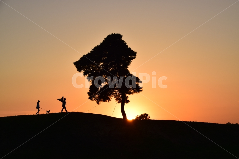 석양,노을,태양,일몰,그림자,자연,풍경,nature,landscape,식물,plants,나무,trees,wood,사람,인물,인간,human,person,실루엣,그림자,silhouette,shadow,인물실루엣,사람실루엣,character silhouette,human silhouette,tree,plant,outdoors,옥외