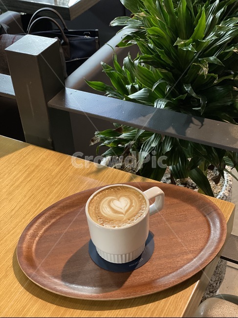 cup,컵,coffeecup,커피컵,drink,라떼,latte,마실것,beverage,cafe,cafelatte,latteart,카페라떼,커피,휴식,식물,나무,여유,relax,커피,카페,coffee,cafe
