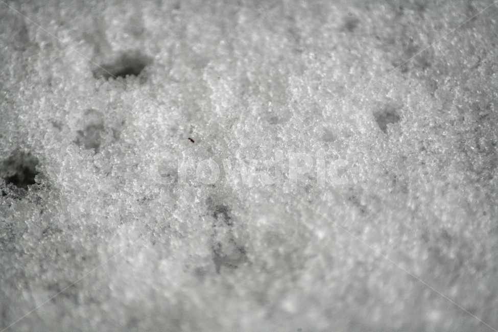 눈,폭설,제설,겨울,겨울비,겨울,계절,winter,season,흑백,모노톤,monochrome,black and white