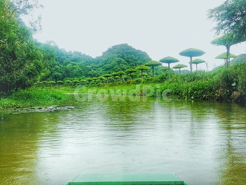 풍경,자연,나무,강,배,자연,풍경,nature,landscape,water,물,outdoors,옥외