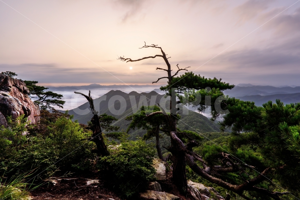 풍경,일출,아침,대둔산,산,운해,자연,풍경,nature,landscape,plant,식물,tree,나무,outdoors,옥외