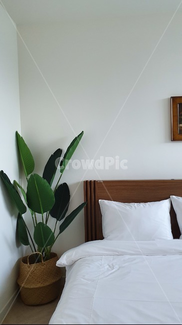 인테리어,감성,침실,modern,배경화면,예쁜,깔끔한,화이트,interior,실내디자인,인테리어소품,침구,인테리어,실내디자인,interior design