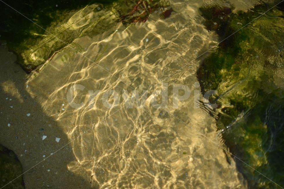 바다,물결,빛,물,강원도,대한민국,파도,자연,풍경,nature,landscape