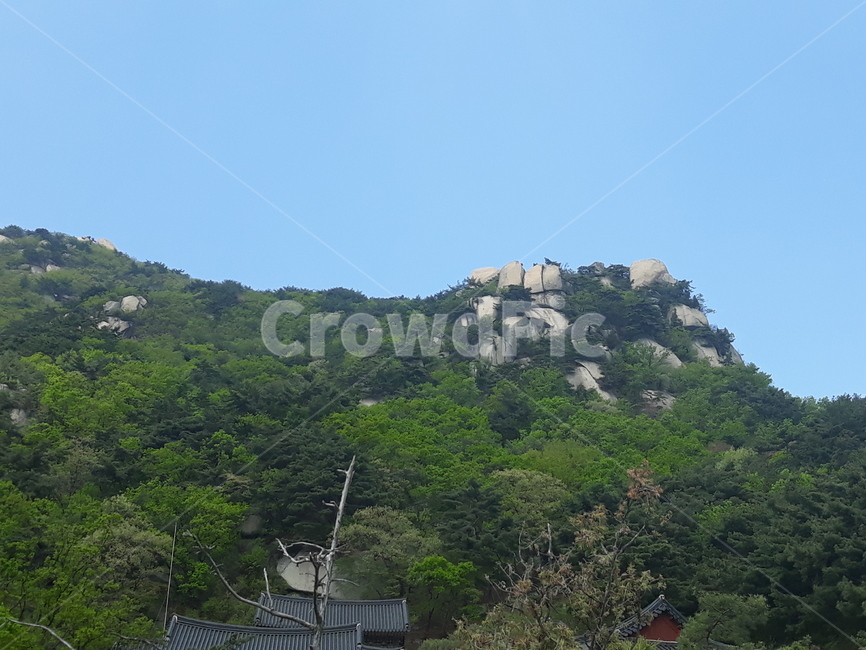 산,등산,나무,정상,봉우리,자연,풍경,nature,landscape,outdoors,옥외,building,건물,rural,농촌