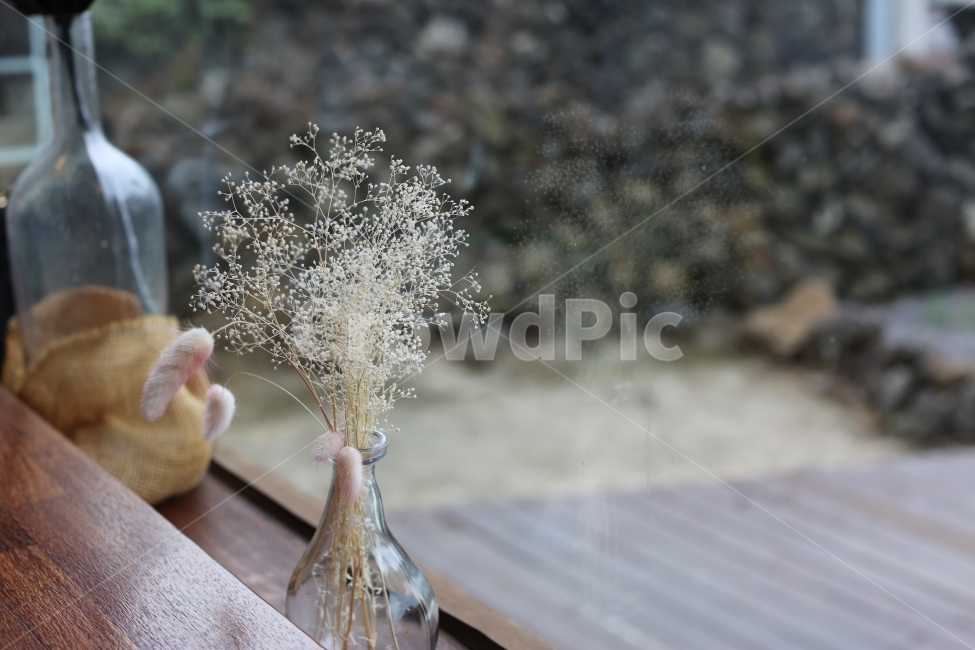 감성,소품,드라이플라워,꽃,인테리어,카페,꽃,flower,실내용화초,화분,화초,house plant,인테리어,실내디자인,interior design