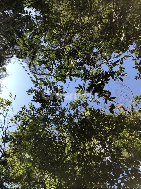 nature,자연,water,outdoors,옥외,land,땅,라오스,휴양지,동남아,하늘,나무,자연,풍경,nature,landscape