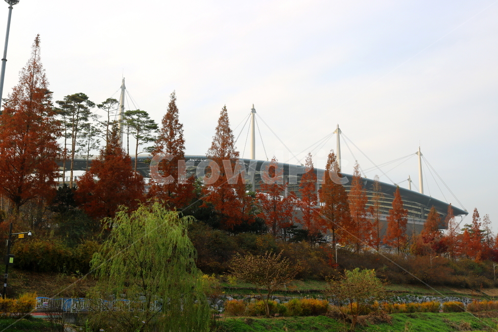 불광천,개천,산책길,가을,나무,단풍,자연,풍경,가을,계절,fall,autumn,season,건축물,건물외관,exterior,building,structure,architecture,construction,tree,plant,식물,fir,전나무