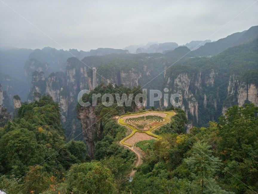 자연,풍경,아바타,경치,장가계,자연,풍경,nature,landscape