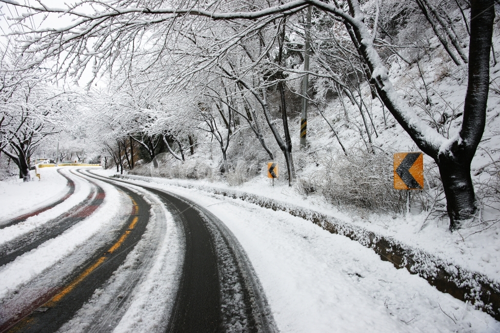 2010주전,눈길,주전눈길,봉대산,봉대산눈,겨울,계절,winter,season,자연,풍경,nature,landscape,road,도로