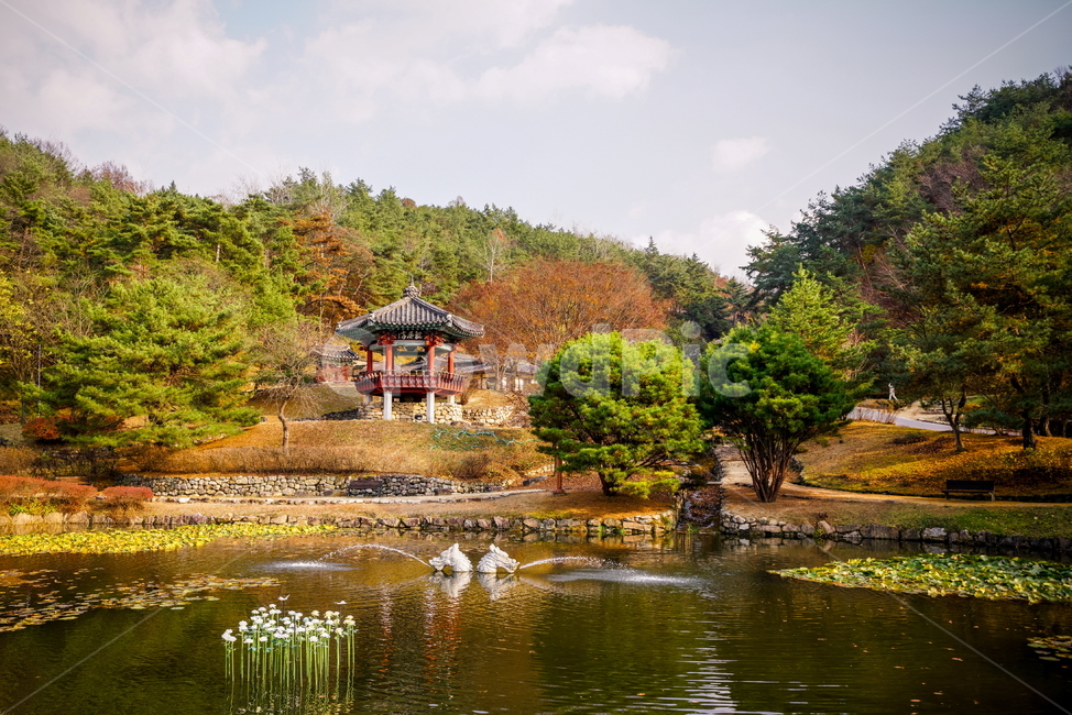 가을,단풍,낙엽,노란단풍,빨간단풍,안동민속촌,안동,자연,풍경,nature,landscape,water,물,outdoors,옥외