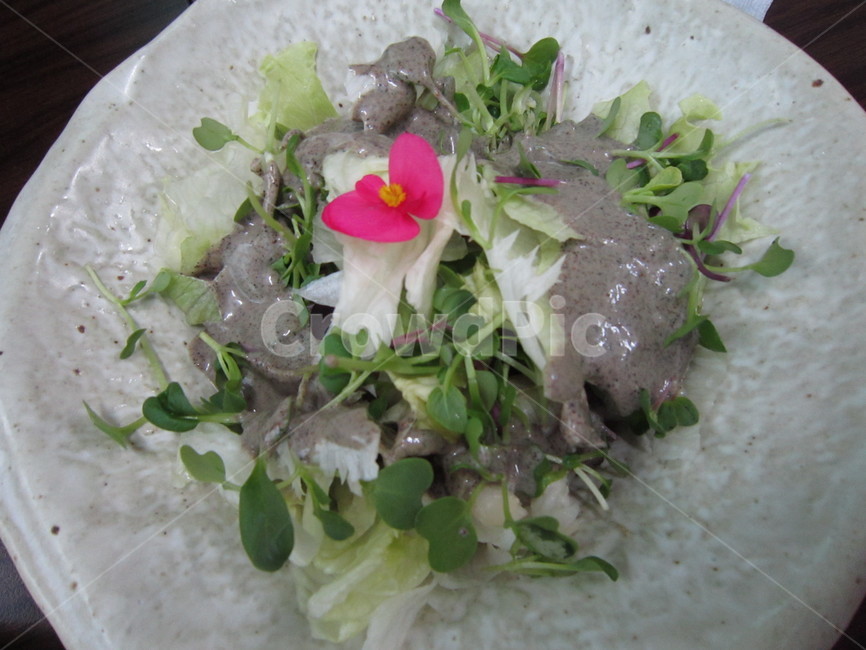 샐러드,꽃잎샐러드,음식,전채요리,들깨소스,음식,식재료,요리,food,cook,meal,dishes,food reserves