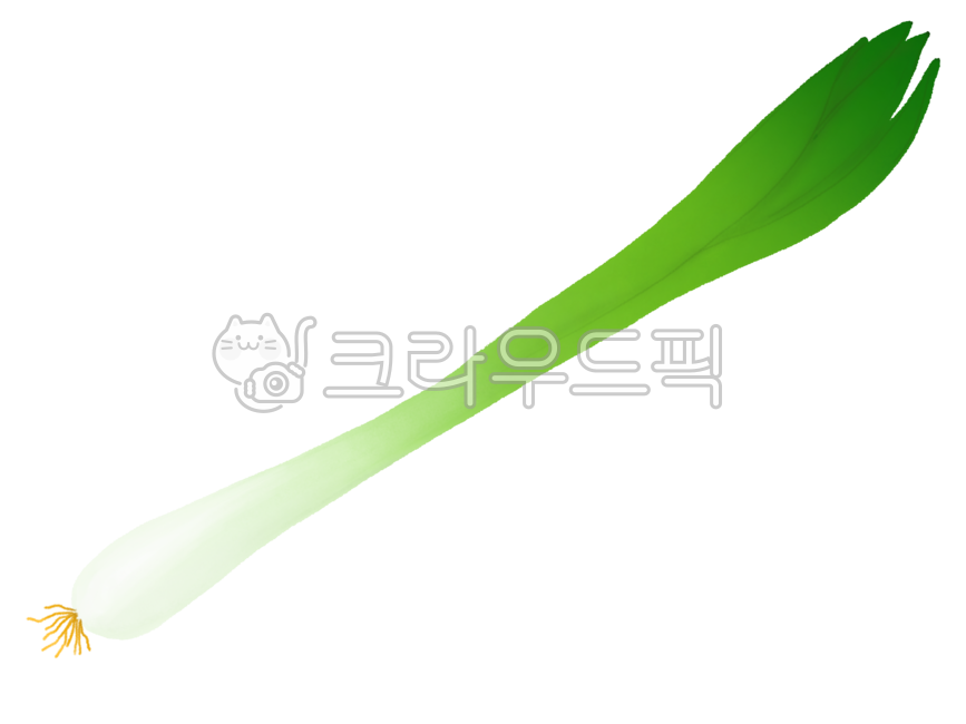 food, 음식, 대파, 파, 야채, 사진,이미지,일러스트,캘리그라피 - sonderness작가