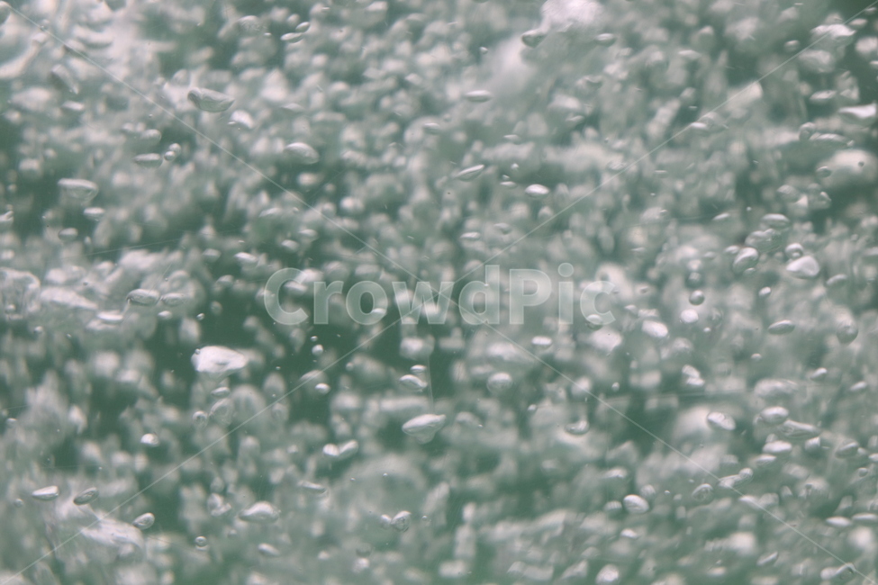 물방울,물,기포,수족관,water,숨,자연,풍경,nature,landscape