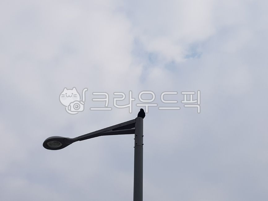 sky,cloud,Crow,bird,sitting,Street lamp
