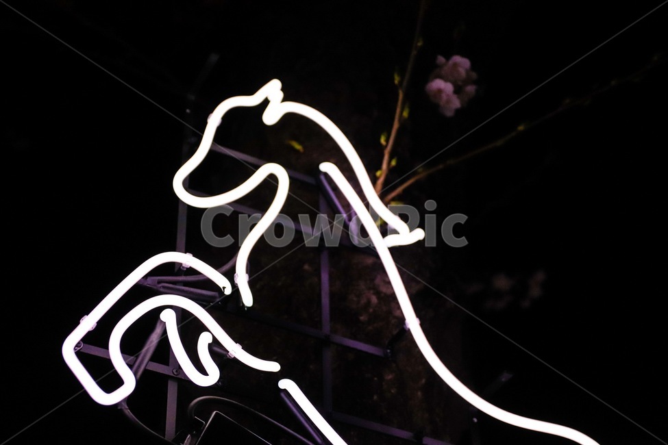 light,빛,neon,네온,말,horse