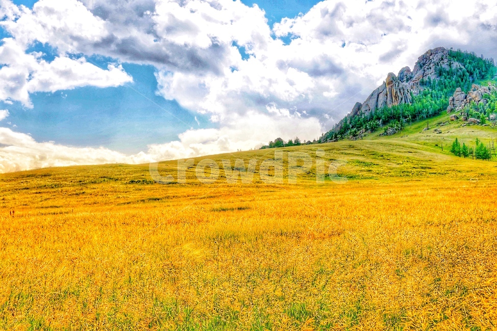 하늘,구름,푸른하늘,잔디,초원,대자연,산,들판,테를지,자연,풍경,nature,landscape