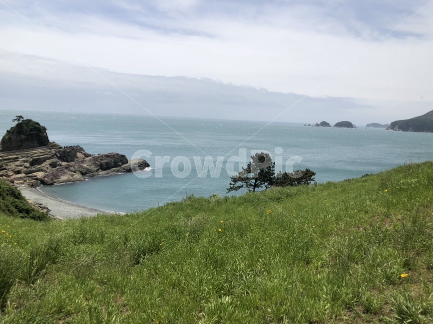 바다,자연,잔디,하늘,풍경,바람,자연,풍경,nature,landscape,land,땅,outdoors,옥외,shoreline,해안선,water,물,sea,ocean,대양,promontory,곶